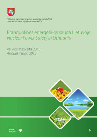 VATESI 2013 annual report